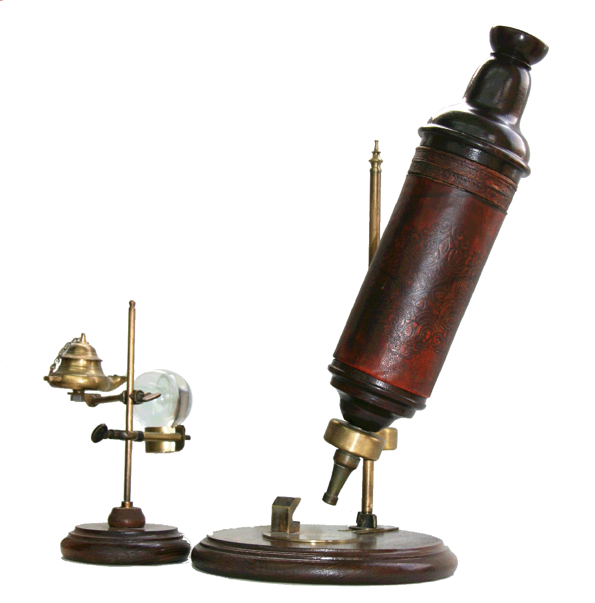 Hooke s Microscope Lens On Leeuwenhoek
